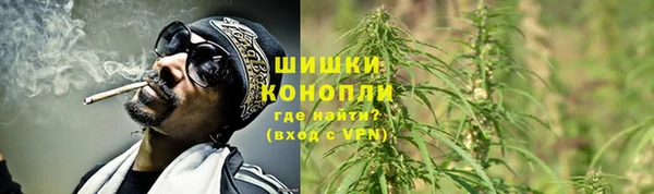 амф Покачи