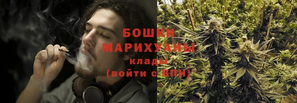 прущая мука Пересвет