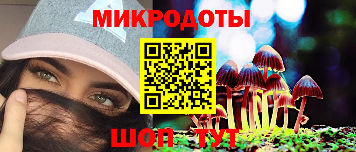 Реж  Псилоцибиновые грибы GOLDEN TEACHER  Вход с VPN 