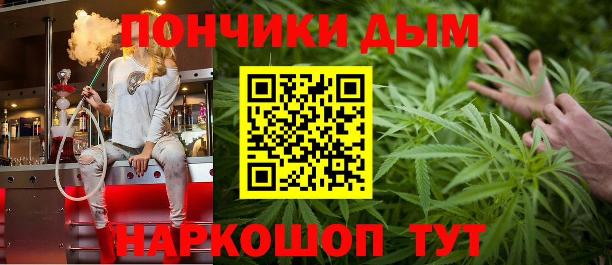 Канабис гибрид  Вход с VPN  Бошки марихуана ГИДРОПОН  Каннабис план  Реж 